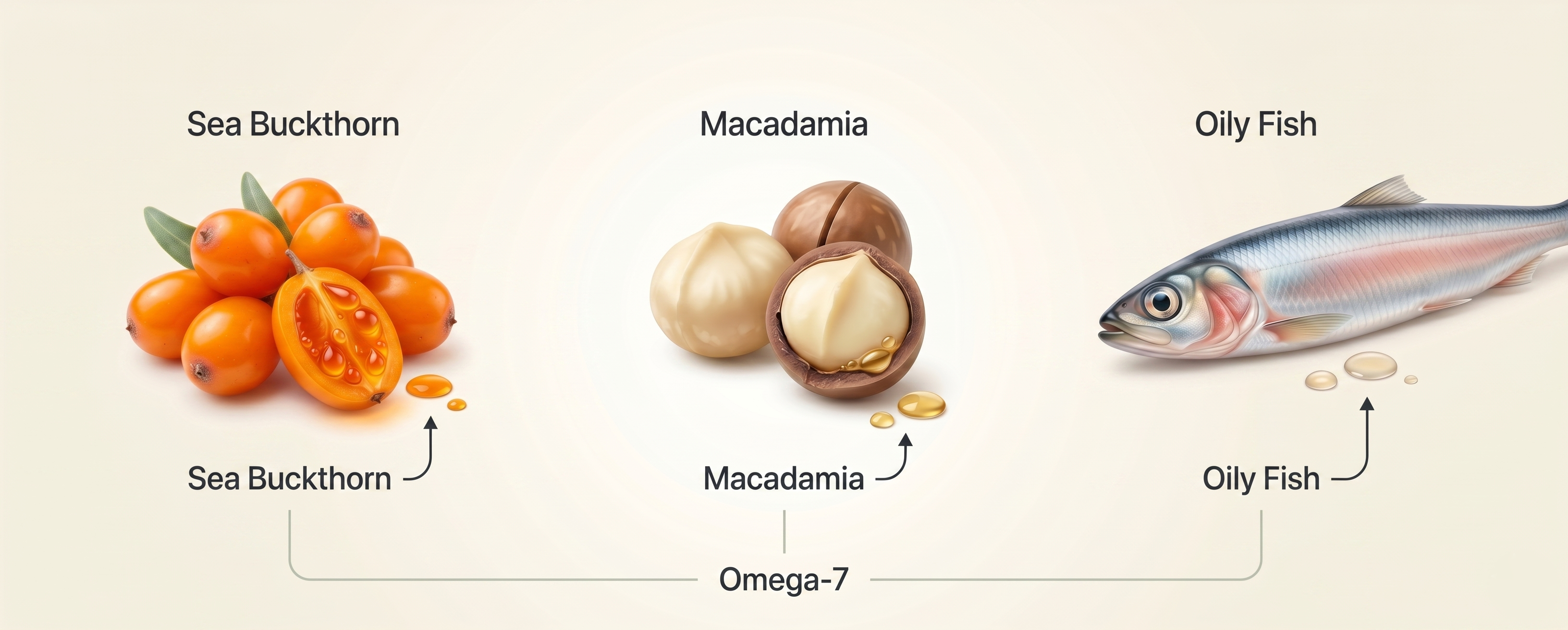 Natural dietary sources of omega-7 including sea buckthorn and macadamia